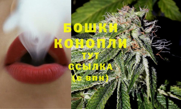бошки Волоколамск